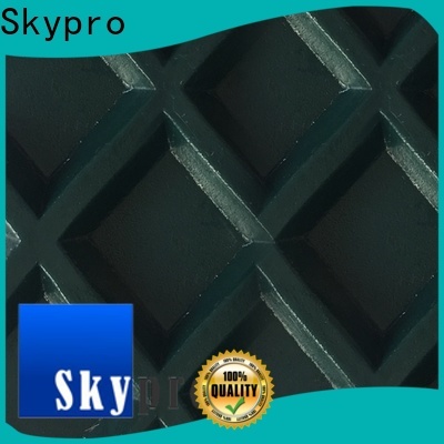 Skypro plastic conveyor belt factory for bathroom